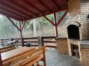 CAMERE de INCHIRIAT LA TUGUIATA Buşteni